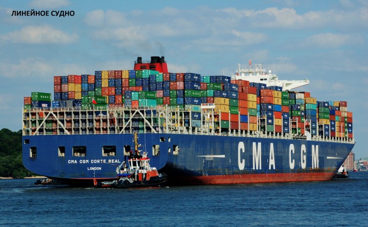 CMA_CGM_CORTE_REAL